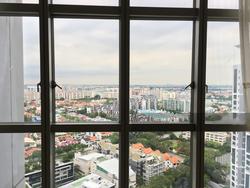 the-bayshore photo thumbnail #11